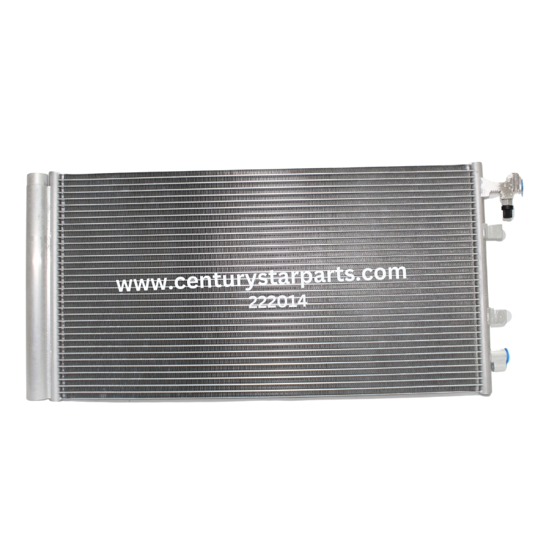 Century Star